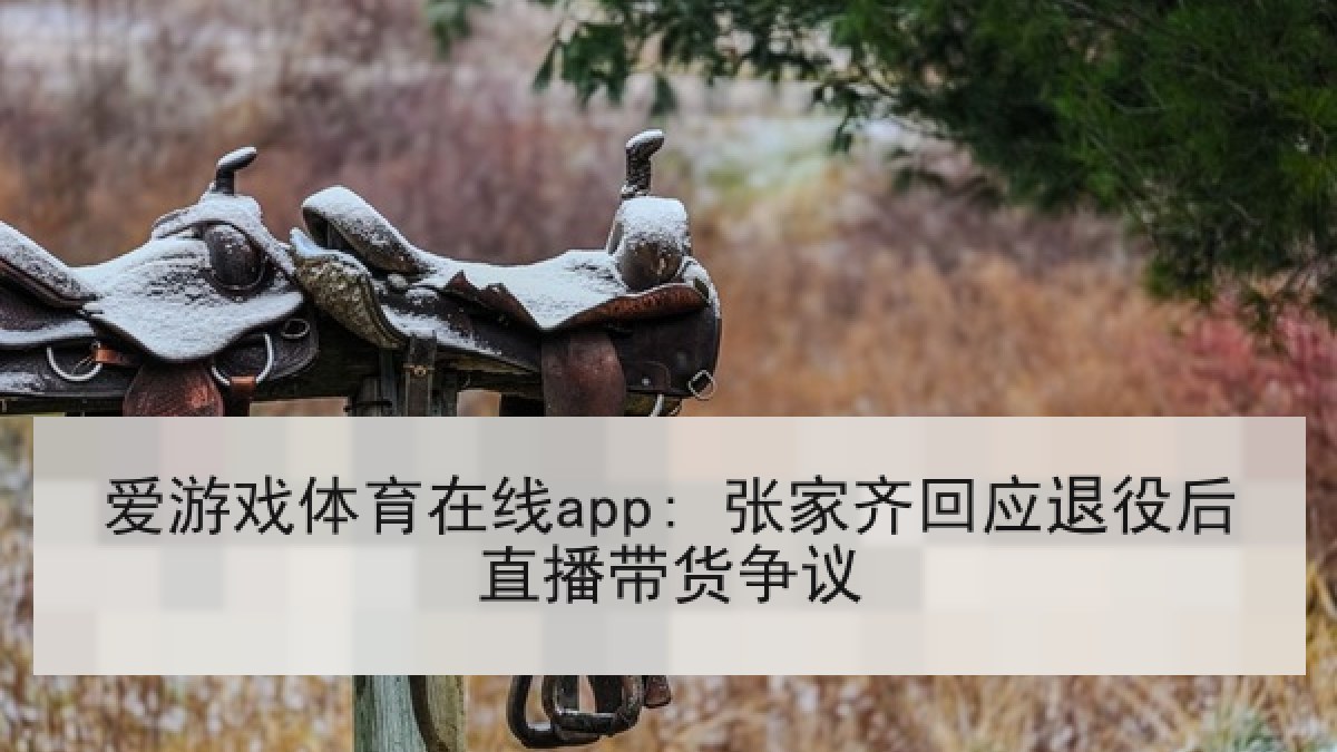 爱游戏体育在线app: 张家齐回应退役后直播带货争议