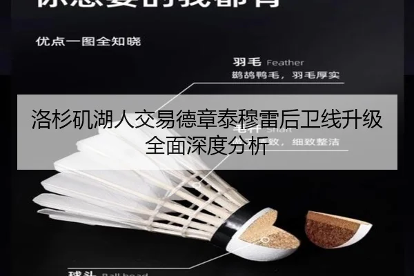 洛杉矶湖人交易德章泰穆雷后卫线升级全面深度分析