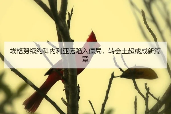 ai-ge-nu-xu-yue-ke-nei-li-ya-nuo-xian-ru-jiang-ju-zhuan-hui-tu-chao-huo-cheng-xin-pian-zhang-2-740.jpg